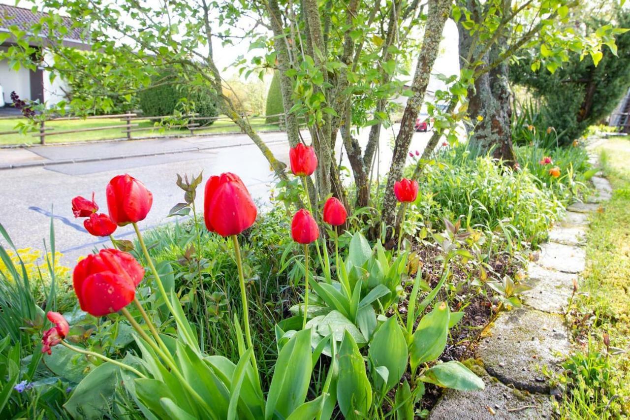 Schoene Und Helle Ferienwohnung In Pfaffenweiler Villingen-Schwenningen Exteriör bild